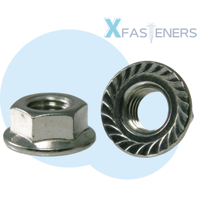 Stainless Flange-Serrated Nuts